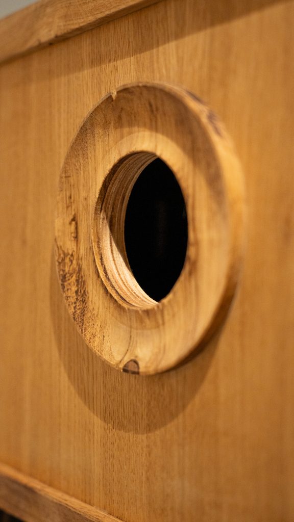 Ovaal gat in houten vogelnest of vogelhuisje met donker binnenwerk en zichtbare houtnerf.