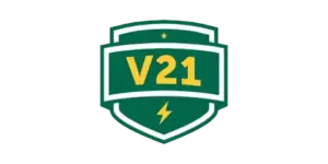 Logo van Vision 21